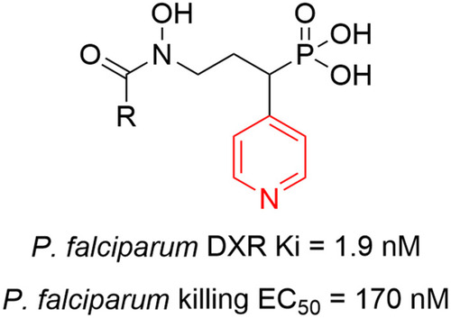 Figure 28 Highly potent antimalarial pyridine-containing fosmidomycin derivative.