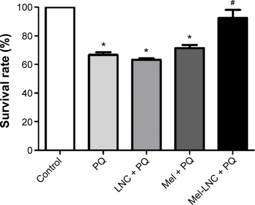 Figure 6 Survival rate of worms pretreated with Mel-LNC and Mel after PQ exposure.Notes: Control group was exposed to M9 buffer. *P<0.01 compared to the control group; #P<0.01 compared to the PQ group.Abbreviations: Mel, free melatonin aqueous solution; Mel-LNC, melatonin-loaded lipid-core nanocapsules; PQ, paraquat; LNC, unloaded lipid-core nanocapsules.