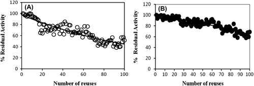 Figure 5. Reusability of immobilized catalase on chitosan-clay (A) and chitosan-Fe3O4 (B) beads.