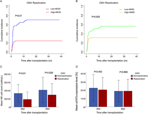 Figure 6 CMV reactivation according to NK cell reconstitution after HSCT. (A) Cumulative incidence of CMV reactivation in patients with high versus low NK30. (B) Cumulative incidence of CMV reactivation in patients with high versus low NK60, (C) NK cell counts in patients with CMV reactivation and without reactivation (mean±standard deviation). (D) CD107a expression level in NK cells in patients with CMV reactivation and without (nonreactivation) (mean±standard deviation).