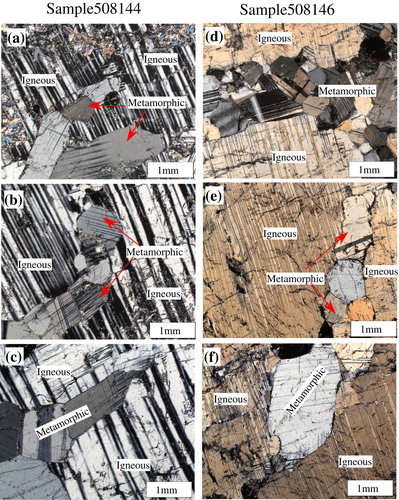 Figure 9. Photomicrographs across two megacrystic plagioclase grains, illustrating the preservation of igneous plagioclase in the Fiskenæsset Complex despite deformation and metamorphism.Notes: Optical continuity (e.g. albite twinning) in igneous plagioclase grains suggests that they formed as 6–8 cm long single crystal in a magma chamber. Albite twins in large igneous crystals are overprinted by smaller metamorphic crystals.
