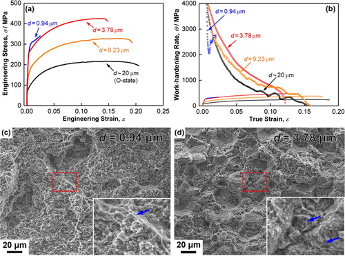 Figure 4. (a) Typical engineering stress–strain curves and (b) work-hardening rate curves of UFG, FG, CG and conventional O-state Al2024 alloy specimens. Tensile fracture surfaces of (c) UFG and (d) FG specimens. The insets in (c) and (d) were enlarged view of the boxed regions.