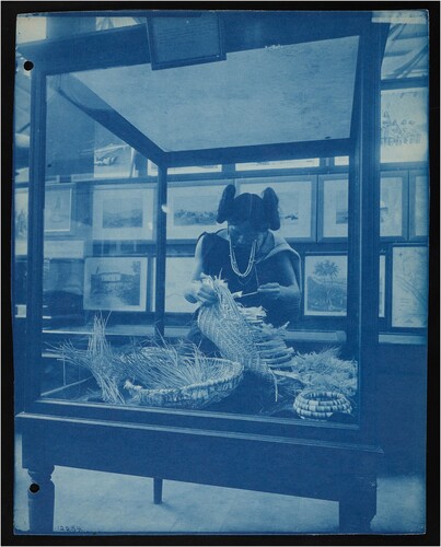 Figure 4. Mannequin of Hopi basket maker that was presented as part of the Dept. of Ethnology and Bureau of American Ethnology exhibits in the United States Government Building at the World’s Colombian Exposition (Chicago World’s Fair), 1893. Display designed to demonstrate technological processes in action, with the baskets in a series showing each stage of manufacture. Smithsonian Institution Archives, Record Unit 95, Box 61, Folder 11A, Image No. SIA_000095_B61_F11A_014