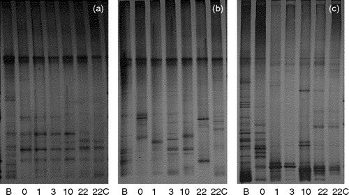 Figure 3.  Gel images of temperature gradient gel electrophoresis (TGGE) on bacterial 16S rRNA genes retrieved from feces and cecal digesta of one rat from group C (a), one from group 5M (b) and one from group 10M (c). B, at the introduction of rat; 0, day 0; 1, day 1; 3, day 3; 10, day 10; 22, day 22; 22C, cecal digesta on day 22.