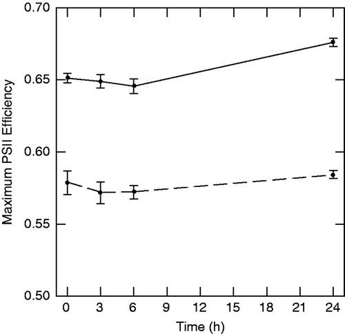 Figure 2. Effects of salt exposure on maximum photosystem II efficiency in experiment 1 (p < 0.001). Solid line is ambient (1637 µS cm−1) and dashed line is salt-amended (35,320 µS cm−1) stream water. Note: Values are means ± 1 SE (n = 7).