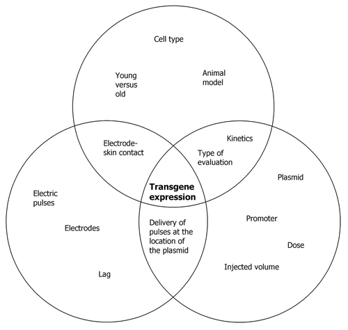 Figure 5. The importance of consistency in the gene electrotransfer procedure. Gene electrotransfer is simple and easy to perform, but is in many aspects a complicated process with many interactions. There are thus many aspects, which need to be evaluated when electroporative delivery fails to induce a response.