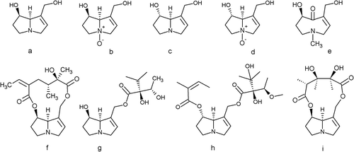 Figure 1. PAs consist of a necine base that can have an: (a) retronecine, (b) retronecine N-oxide, (c) heliotridine, (d) heliotrine N-oxide, or (e) otonecine structure. Each necine base is coupled with a necic acid to form four major groups of PAs: (f) a 12-ring macrocyclic diester (e.g. senecionine), (g) an open-chained monoester (e.g. lycopsamine), (h) an open-chained diester (e.g. lasiocarpine), or (i) an 11-ring membered macrocyclic diester (e.g. monocrotaline). Senkirkine, the most prominent representative of the otonecine type, is not shown in this figure, but is generally grouped with the 12-ring macrocyclic diester PAs.