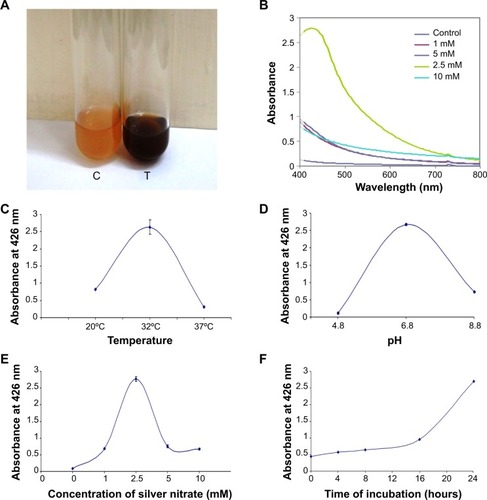 Figure 1 Synthesis and optimization of AgNPs.Notes: (A) Tubes containing the culture supernatant before (C – control) and after (T – test) immersion of Deinococcus radiodurans in 2.5 mM silver nitrate solution for 24 hours. (B) UV/vis spectral analysis of culture supernatant containing the AgNPs over a wavelength range of 400–800 nm after 24 hours of reaction. Prominent peak for UV/vis spectra is visualized at 426 nm. Optimization of physicochemical parameters for silver nanoparticle synthesis: (C) temperature, (D) pH, (E) concentration of silver nitrate, and (F) incubation time. The error bars represent mean ± standard deviation.Abbreviation: AgNPs, silver nanoparticles.