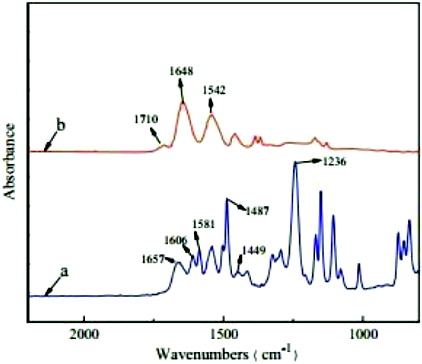 Figure 5. ATR-FTIR spectra of pure PET and TiO2/PET film