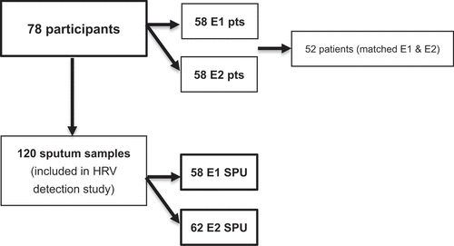 Figure 1. Flow chart of COPD patients/samples groups analyzed. Seventy-eight participants provided at least one sputum sample during the study. A total of 148 sputum samples were included in this study, consisting of 58 exacerbation-related (E1) sputum samples (from 58 patients) and 62 sputum samples (from 58 patients) two weeks after the exacerbation episode (E2).