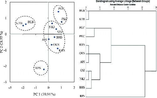 Figure 1. Principal component analysis biplot graphical and hierarchical cluster displays of white jabon populations based on fruit, seed, and seedling morphophysiological characteristics.