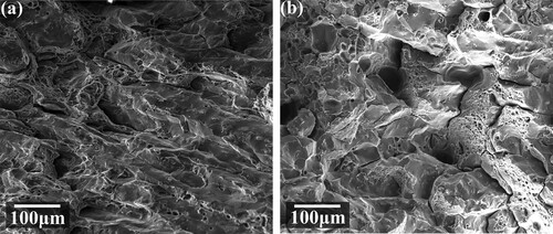 Figure 21. Tensile fractures after the heat treatment: (a) horizontal fracture, (b) vertical fracture.