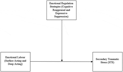 Figure 1. Postulated relations among study variables