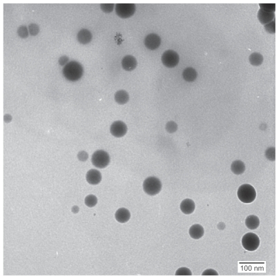 Figure 1 Transmission electron microscopy image of selenium nanoparticles stabilized in bovine serum albumin and dispersed in water.