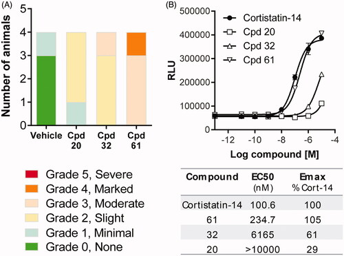 Figure 5. Validation of in vitro - in vivo correlation by rank-order comparison. The rank order of scoring severity from postmortem macroscopic evaluations on swelling/edema (A) was found to correlate with the rank order of in vitro potency on MRGPRX2 (B).