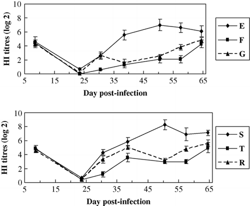 Figure 3.  HI Ab titres to AIV within groups of different lines. Common line – E (no HVT-vaccinated, no MDV-challenged); F (no HVT-vaccinated, MDV-challenged); G (HVT-vaccinated, MDV-challenged). MD-resistant – S (no HVT-vaccinated, no MDV-challenged); T (no HVT-vaccinated, MDV-challenged); R (HVT-vaccinated, MDV-challenged).