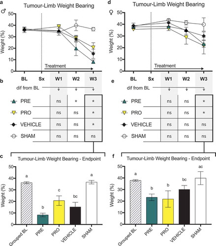 Figure 4. No female or male rat models of cancer-induced bone pain showed differences in ipsilateral limb weight bearing between treatment groups and vehicle treatment
