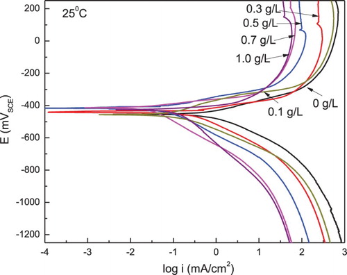 Figure 4. Effect of P. boldus concentration in the polarization curves for 1018 carbon steel in 0.5 M H2SO4 at 25°C.