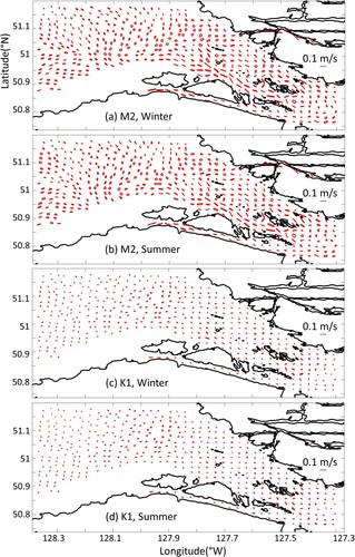 Fig. 10 Tidal ellipses (M2 and K1) of flow at 1 m above seabed (where water depths are greater than 50 m) in the winter (a, c) and summer (b, d) 2019 simulations.