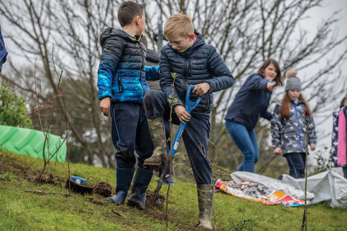 LEAF program in Ireland. Students from Scoil Realt na Mara planting their An Choill Bheag (little woodland) on their school grounds. CLARE KEOGH.