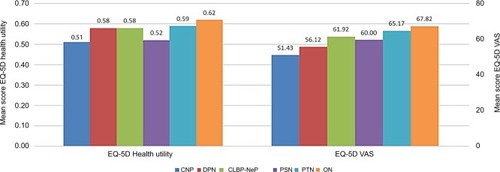 Figure 6 Means on health status and economic burden of patients for each NeP subtype: EQ-5D.