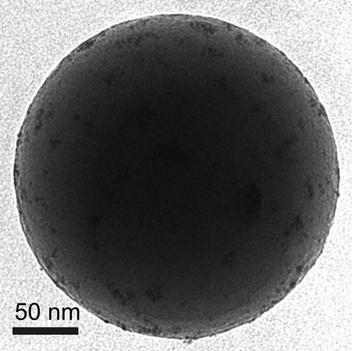 FIG. 6 TEM image of a silica particle with a deposit of Pd particles visible around the edges.