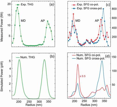 Figure 5. (a) Experimental and (b) simulated THG power as a function of the nano-disk radius. (c) Measured SFG power and (d) the associated simulated results. The red curve refers to the case of co-polarized beams while the blue one indicates the cross-polarized excitation condition. The pump powers are Pavg(ω) = 384 μW and Pavg(2ω) = 192 μW. Adapted from [Citation93].