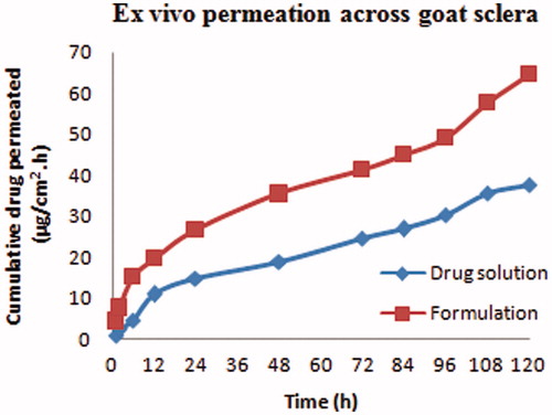 Figure 4. Ex vivo transscleral permeation of NPs and drug solution.