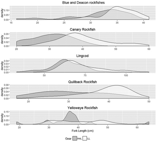 FIGURE 5. Smoothed density plots (kernal density estimates based on proportion of total) of size-frequency distributions for the species in bold from Table 1, showing significant differences between hook-and-line (HnL) and longline (LL) gear.