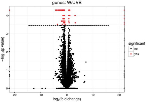 Figure 2. The volcano plot of the transcriptome in somatic cells under UV-B and WL treatment.Note. The genes above the horizontal line are significantly based on a threshold (FDR<0.05) and the two-fold change threshold (|log2FoldChange|>1), respectively.