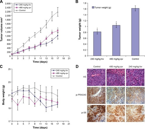 Figure 6 Effects of MK-2206 on tumor growth of human CNE-2 xenografts in nude mice.Notes: (A) The treatments began on day 1 after grouping (day 0), including 30% Captisol 10 mL/kg once a week, MK-2206 480 mg/kg once a week, and MK-2206 240 mg/kg three times a week for 2 weeks. During treatment, tumor volumes were measured every other day. Points, mean of tumors; bars, standard deviation. # P<0.05 compared with vehicle control; *P<0.01 compared with vehicle control. (B) After 18 days of grouping, the mice were killed and the tumors were removed and weighed. *P<0.01 compared with vehicle control. (C) Body weight was measured every other day and used to assess toxicity of treatment. (D) Tumors were resected, fixed, and paraffin embedded. The sections were analyzed by hematoxylin-eosin (HE) staining and by immunohistochemistry, using p-PRAS40 and p-S6 antibodies. The representative photographs in tumor sections are shown (×400).