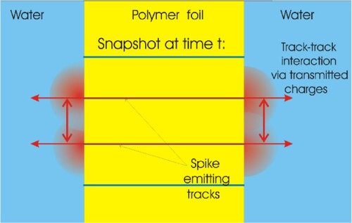 Figure 2. Illustration of the cross-talk of two neighbored spike-emitting SHI ion tracks (Citation3, Citation9). For ∼ 150 nm < λ < ∼2–3 mm, full lateral track-track cross-talk is possible, with λ being the average track-track distance. Optimum cross-talk is obtained for λ being slightly above the minimum distance of 150 nm. For λ < 150 nm, polymer carbonization sets in, resulting in the sample’s destruction. For λ > 2–3 mm, when the time required for full charge synchronization is exceeded, synchronization worsens dramatically (these numbers hold for typically applied potentials U = 1 … 5 V and frequencies around ∼ 1 Hz in the corresponding experiments).