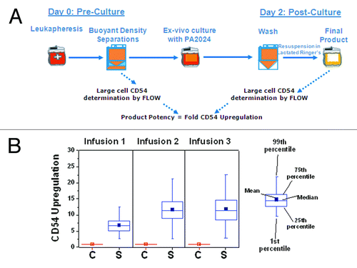 Figure 4. (A) CD54 upregulation is determined by calculating the relative increase in CD54 expression in the final product compared with the leukapheresis product following buoyant density separations to isolate PMBCs. (B) Relative CD54 upgregulation (fold change) during the first, second, and third manufacture of control (C) and sipuleucel-T (S).CD54 upregulation was measured as previously describedCitation24 in samples obtained in the D9901/D9902A trials.Citation18,Citation33