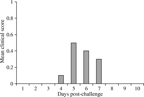 Figure 1.  Experiment 1. Mean clinical score in the unvaccinated-challenged chicks following aMPV challenge. No clinical signs were observed in the vaccinated-challenged groups.