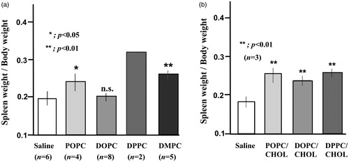 Figure 5. Spleen weight at 18 h after injection of liposome suspension. POPC-, DOPC-, DPPC-, DMPC-, POPC/CHOL-, DOPC/CHOL, and DPPC/CHOL-liposome suspensions were injected into rats as described in Materials and Methods. Then, 18 h later, the body weight and spleen weight were measured. The spleen weight was expressed as a ratio (spleen weight vs. body weight). (a) Except for DOPC-liposome, the weight increase of spleens was observed by injection of POPC-, DPPC-, or DMPC-liposome. The weight increase of the spleens by DPPC-liposome appeared to be the most prominent. In contrast, no significant weight gain of spleen was found from DOPC-liposome injection. (b) Significant weight gain occurred after injection of all cholesterol-containing liposomes.