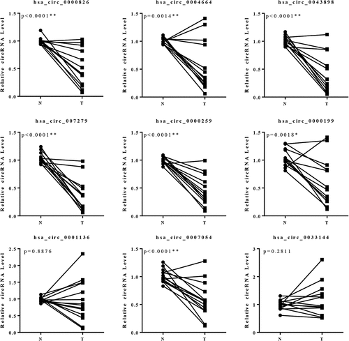 Figure 2. Validation of the expression of the circRNAs in 14 pairs of specimens. There were 5 circRNAs presented significant differentially expression. 13 pairs of the specimens presented consistent expression patterns among the total of 14 pairs of specimens.