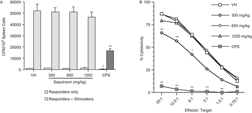 Figure 2.  SQV effects on (A) MLR and (B) CTL activity in female B6C3F1 mice. Animals were treated with 0.5% methylcellulose (VH) or SQV, and splenocytes were prepared and assayed as described. The positive control animals received 50 mg/kg of cyclophosphamide (CPS) on the last 4 days of the exposure period by intraperitoneal injection. cpm = counts per minute following incorporation of [3H]-thymidine. Values represent the mean (±SE) derived from eight animals. In panel B, an SE < 15% of value was not shown. *P ≤ 0.05 or **P ≤ 0.01 vs. VH control.