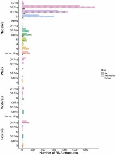 Figure 16. Bar chart showing frequencies of selected RNA structures across the three hosts of MERS-CoV acting on each ORF. RNA structures found in ORF1a, and S are experiencing positive selection in viruses infecting all host species (ORF1a: bat = 1, intermediate = 205, and human = 126; S: bat = 1, intermediate = 2, and human = 26). Specific number of RNA structures is available in Supplementary Table S6.