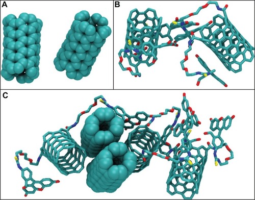 Figure 7 All-atom molecular dynamics simulation of MWCNT–FITC structures in vacuo.Notes: Visualization of the carbon nanotube aggregates determined from 1,000 ps molecular dynamics simulation of MWCNT–FITC: the SWCNT (A) and SWCNT–FITC (B) dimers, and SWCNT/SWCNT–FITC hybrid pentamer (C). These nanotube aggregates are represented as space-filling diagram and licorice models coloured according to their atomic composition. Hydrogen atoms are omitted for clarity.Abbreviations: MWCNT–FITC, multiwalled carbon nanotube functionalized with fluorescein isothiocyanate; SWCNT, single-walled carbon nanotube; SWCNT–FITC, single-walled carbon nanotube functionalized with fluorescein isothiocyanate.