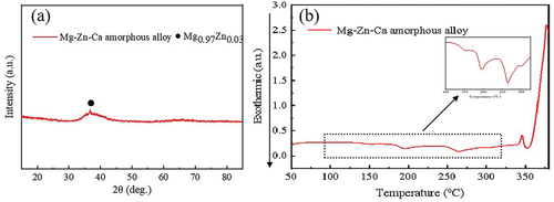 Figure 3. XRD image (a) and DSC image (b) of the Mg-Zn-Ca amorphous alloy. a.U., arbitrary units; XRD, X-ray diffraction.