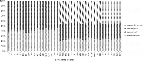 Fig. 1. Percentages of total phycobiliproteins in different Scytonema cultures. Scytonema isolate codes are given in Table 1.