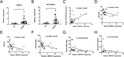Figure 7 Clinical examination analysis of sCOPD samples. (A and B) Validation of the MRPS11 and RP3-329A5.8 by qRT-PCR. (C) There was a significant positive correlation between the expression level of MRPS11 and RP3-329A5.8. Relationship between pulmonary function (D and E)/oxygen levels (F)/CRP (G)/PCT (H) and the expression of MRPS11. The results are from Pearson correlation analyses. Bars represent the mean ± SEM (n = 5). *P < 0.05.