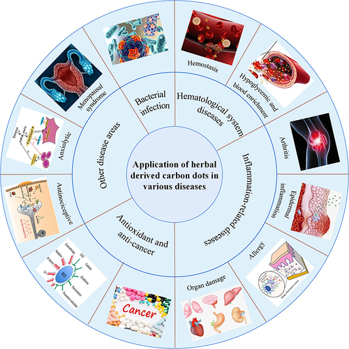 Figure 3 The current application of HM-CDs in disease treatment, including hematological system (hemostasis, hypoglycemic, and blood enrichment), bacterial infection, inflammation-related diseases (arthritis, epidermal inflammation, allergic inflammation, and organ damage inflammation), anticancer, diseases related to oxidative stress, other disease areas (menopausal syndrome, anxiolytic).