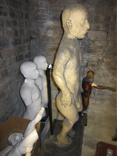 Figure 7. Basement, Edinburgh Anatomical Museum Stores.