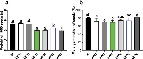 Figure 1. Seeds character. (a) Weight of 1000 seeds. (b) Field germination of seeds.