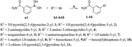 Scheme 1. Synthesis of compounds 1-11aaReagents and conditions: A. K2CO3, Pd(dppf)Cl2, 1,4-dioxne, H2O, 85 °C, 14 h.