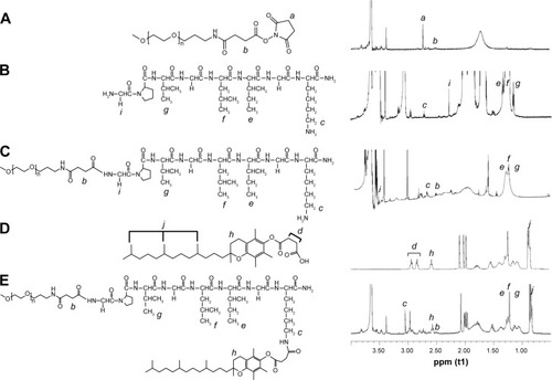 Figure 2 1H NMR spectra of mPEG2K-NHS (A), GK-8 (B), mPEG2K-GK8 (C), α-TOS (D) and TGK (E) in CDCl3.Note: (a, b, c, d, e, f, g, j, h) are the key proton and their signals on the molecule labeled as reference for 1H-NMR analysis.Abbreviations: 1H-NMR, 1H-nuclear magnetic resonance spectroscopy; GK8, GPVGLIGK-NH2 peptide; mPEG2K-NHS, methoxy-polyethylene glycol (MW 2,000 Da) activated by N-hydroxysuccinimide; TGK, mPEG2K-GK8-α-TOS conjugate; α-TOS, α-tocopherol succinate; MW, molecular weight.
