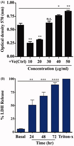 Figure 3. Antioxidant activity of silver nanoparticles (AgNPs). (A) AgNPs decrease catalase enzyme activity. (B) AgNPs augmented lactate dehydrogenase (LDH) release. Data are represented as mean ± SEM of three independent experiment. Asterisks indicate statistical different from untreated cells. *p≤.05; **p≤.01; ***p≤.001; ****p≤.001.