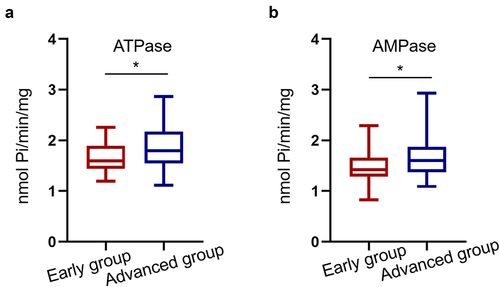 Figure 4. Serum ATPase and AMPase levels are increased in advanced CRC patients. (a, b) The serum ATPase and AMPase levels were upregulated in 47 advanced CRC patients compared with 40 early CRC patients (*P < 0.05).