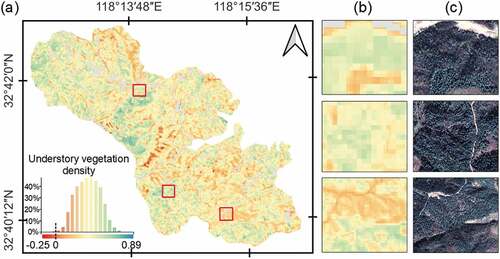 Figure 8. (a) Spatial distribution of modeled understory vegetation density with a histogram insert showing the distribution of the values, (b) three zoom-in illustrations of understory vegetation density, (c) corresponding Google Earth images.